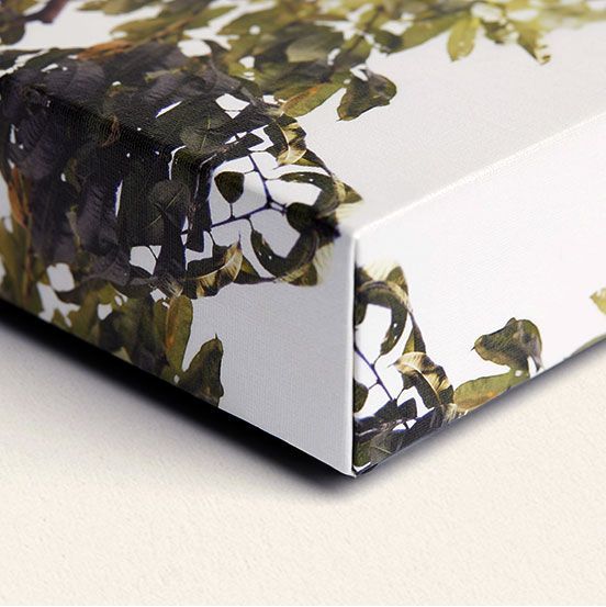 20.7.2.14.21canvas-banner_14.jpg