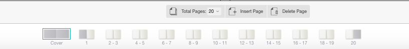 Page_count.png